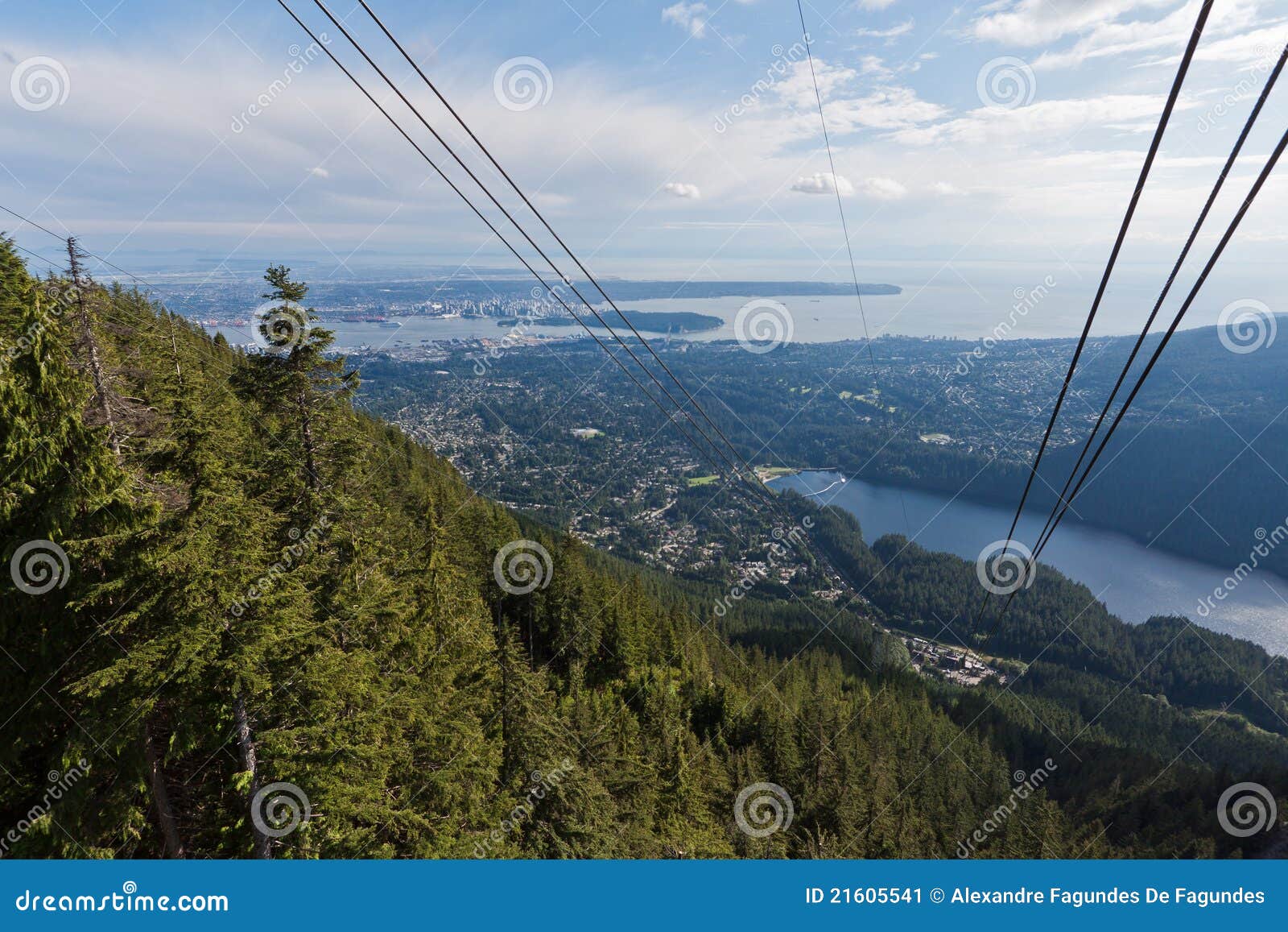 Grouse RoyaltyFree Stock Image 13532410