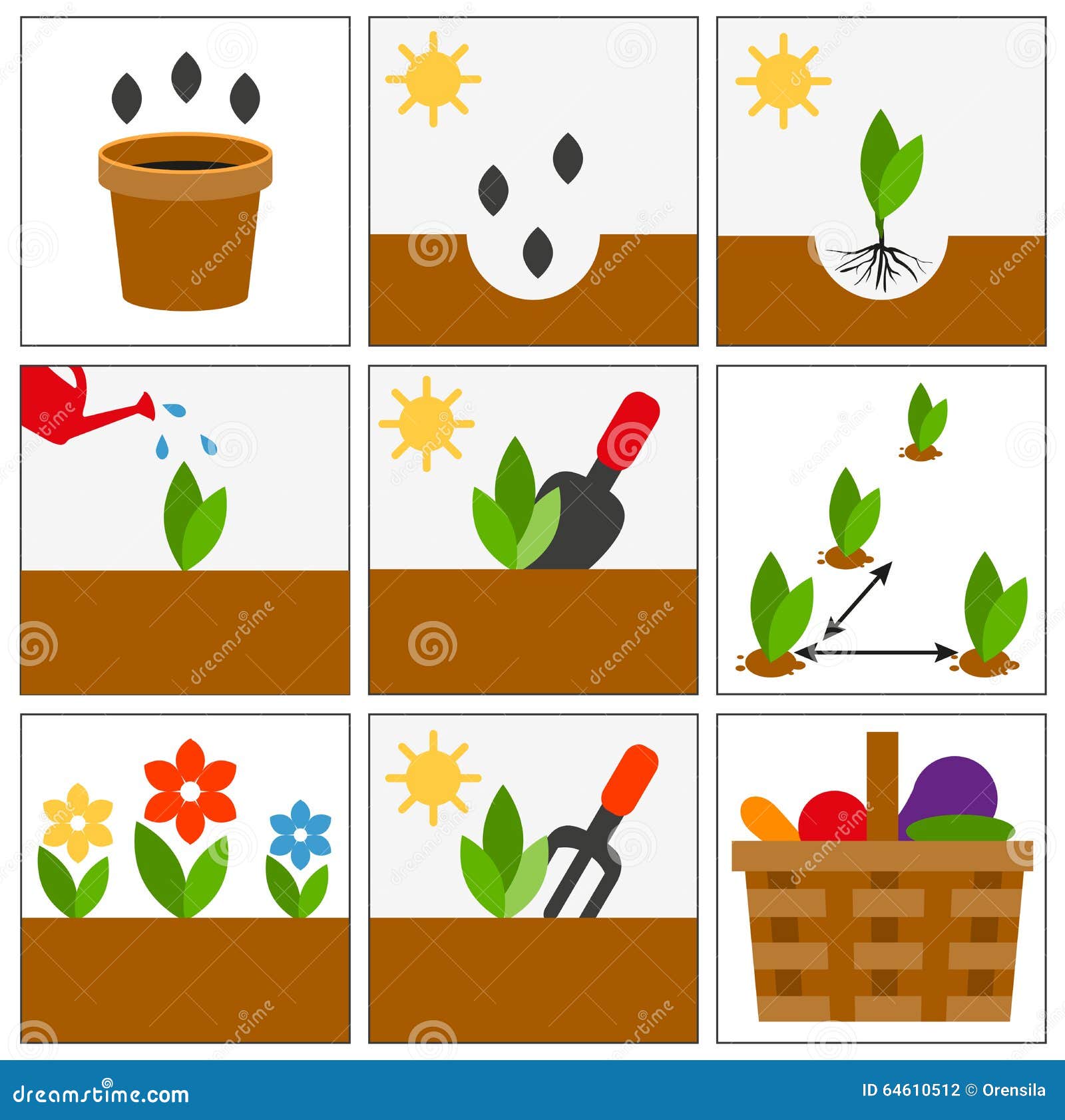 Groving Sedlings. Seeds, Seedlings and Harvest Stock Vector ...