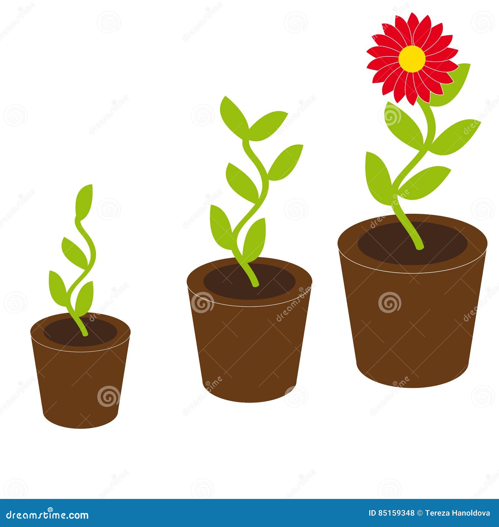 Growing Flower on White Background Stock Vector - Illustration of ...