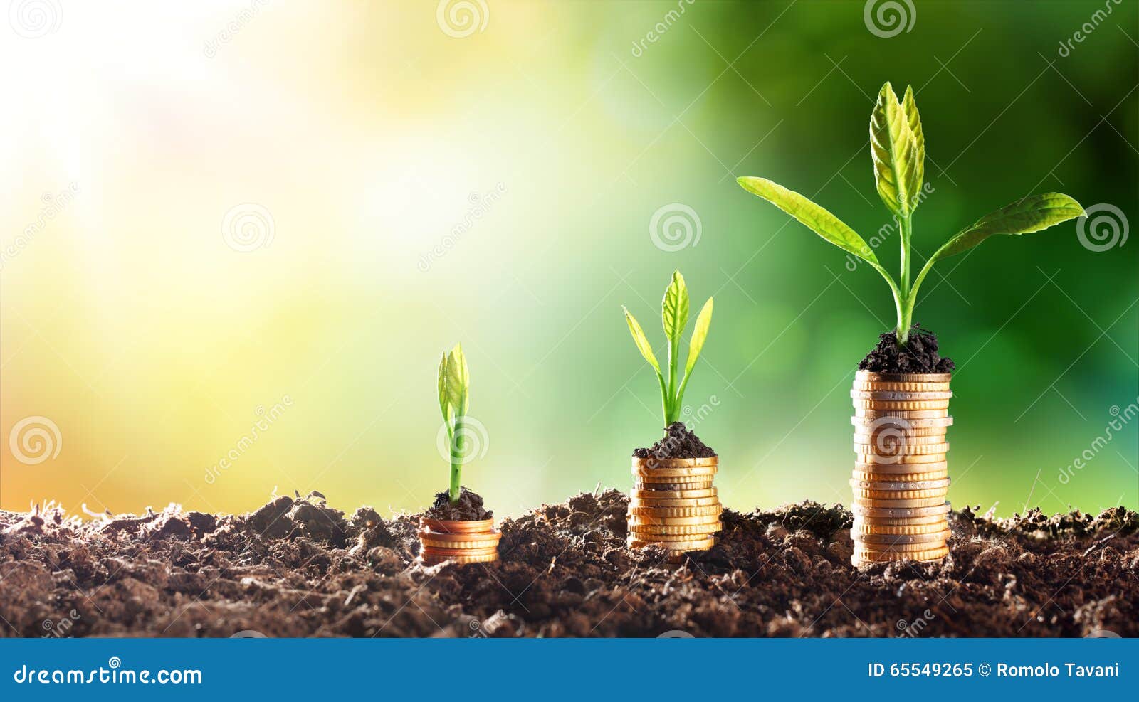 Growing Money Stock Photo - Image: 65549265