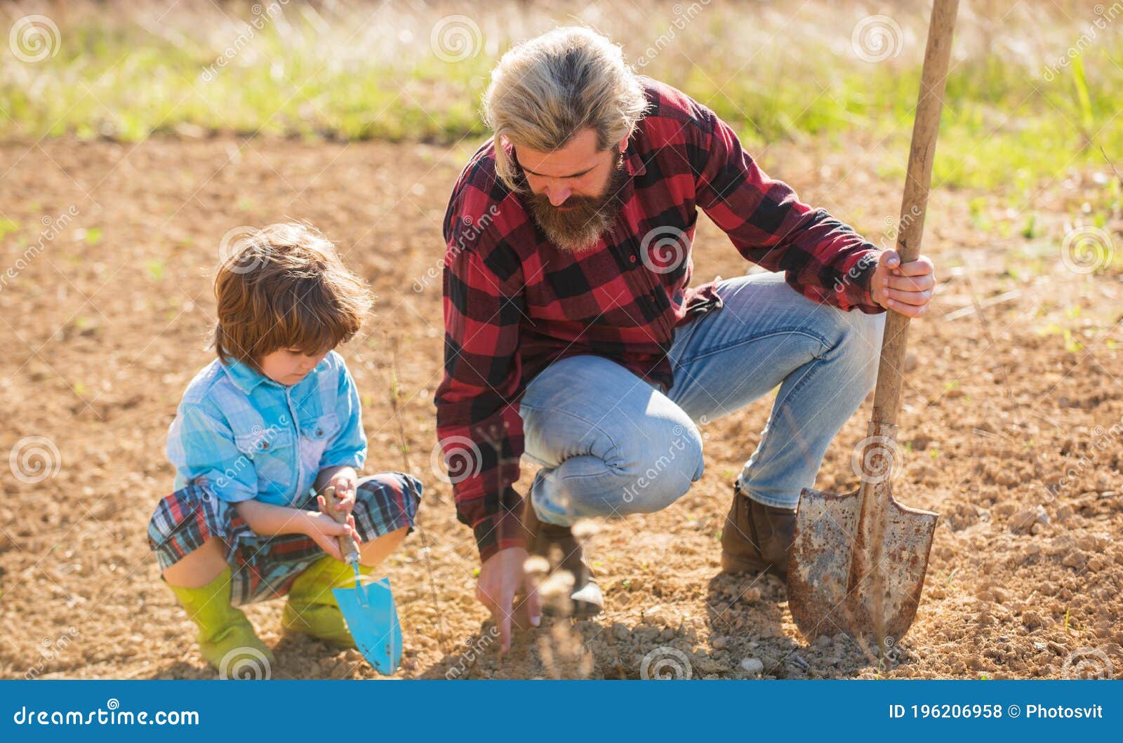Growing Plant. Father Teach Son To Plant In Soil. Bearded