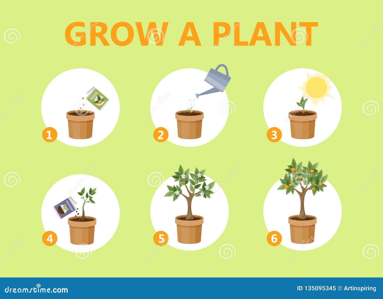 Growing A Plant In The Pot Guide. Stock Vector