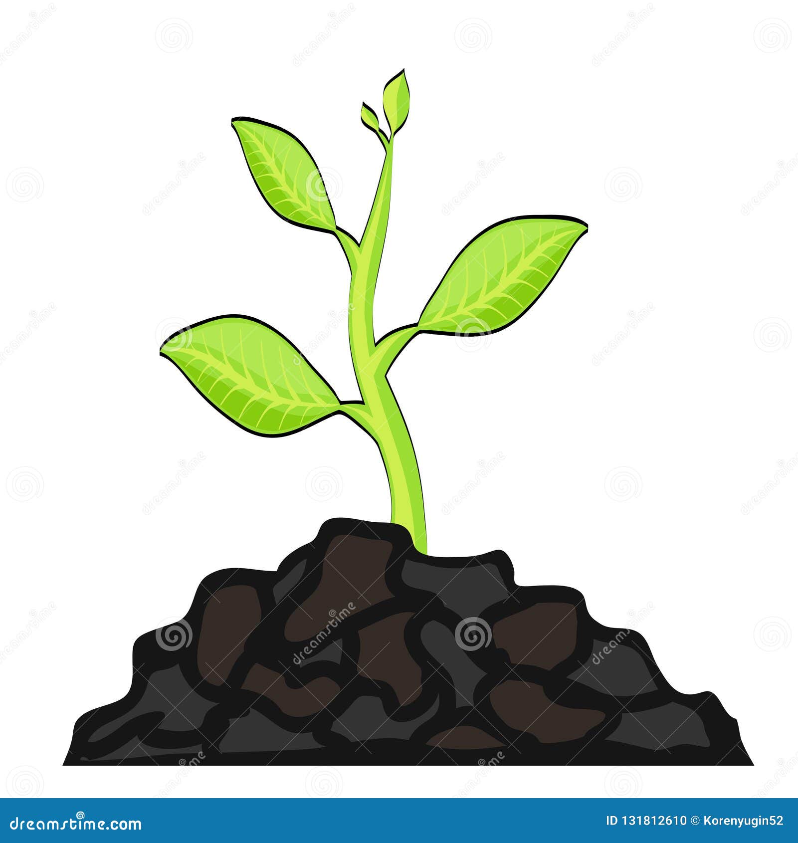 Growing Plant Seed in Cartoon Style for Your Design, Stock Vector  Illustration Stock Vector - Illustration of detailed, life: 131812610