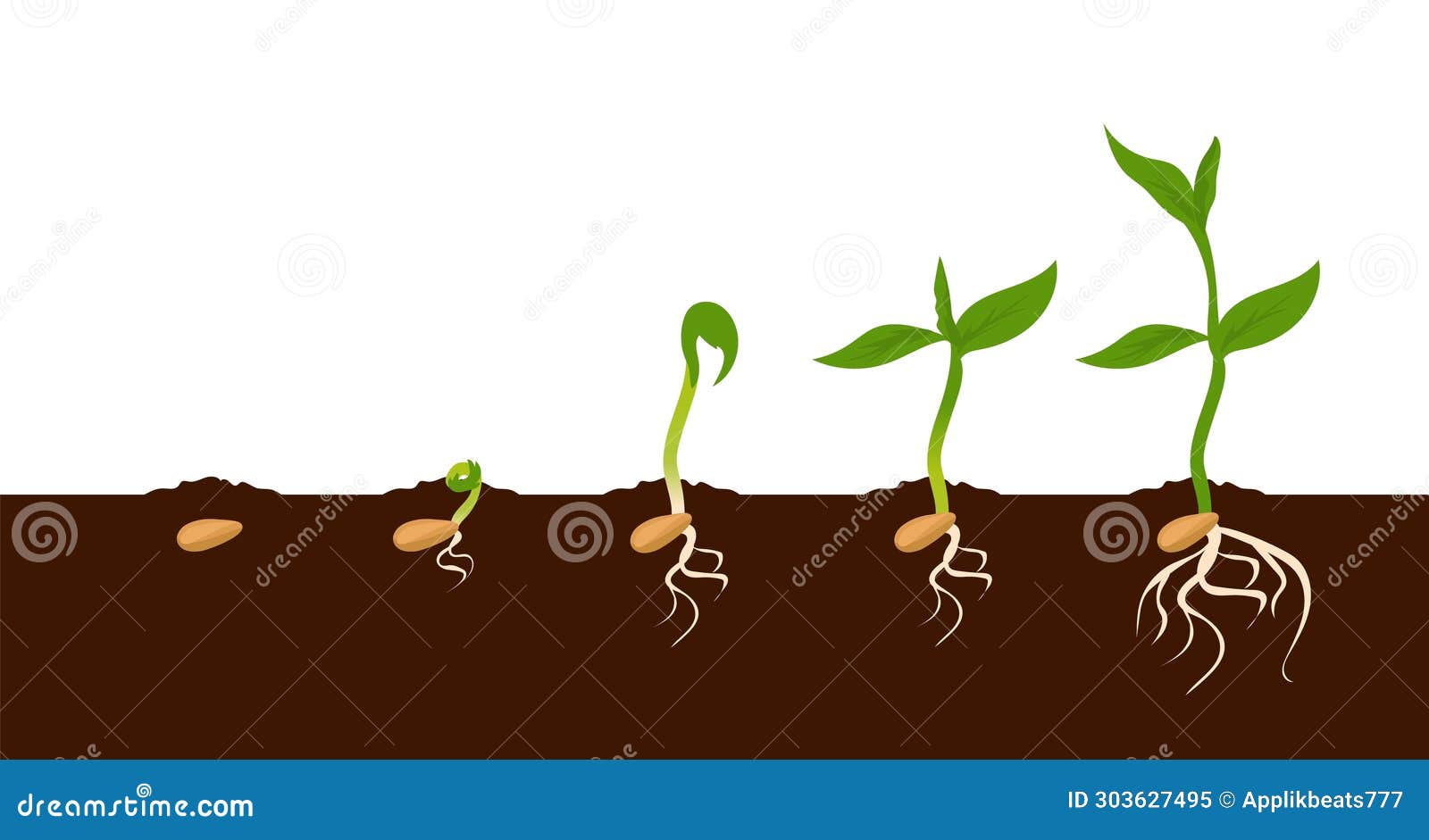Germinating plant Stock Vector by ©Kraft2727 61251141, image size:1600x941