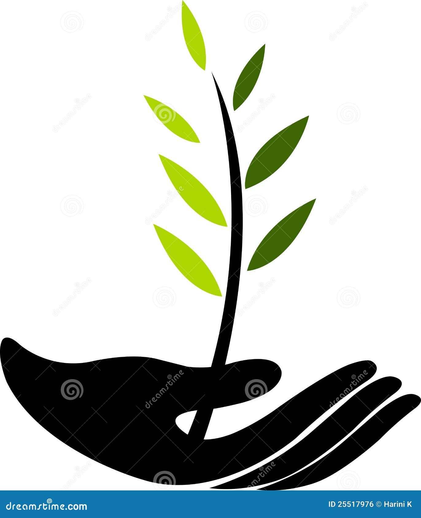 growing tree clipart - photo #36