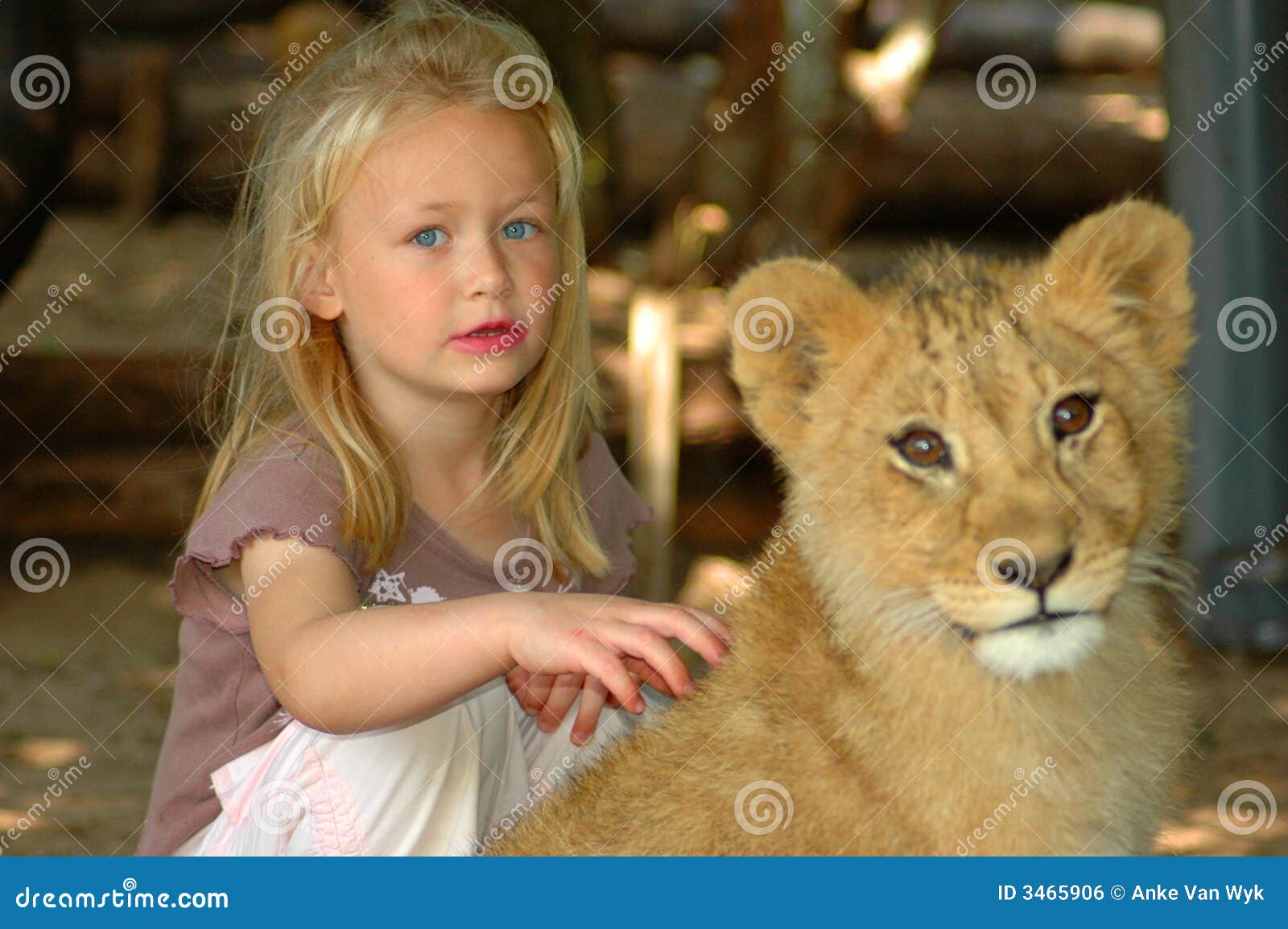Growing Up With Wildlife Stock Photo Image Of Childs 3465906