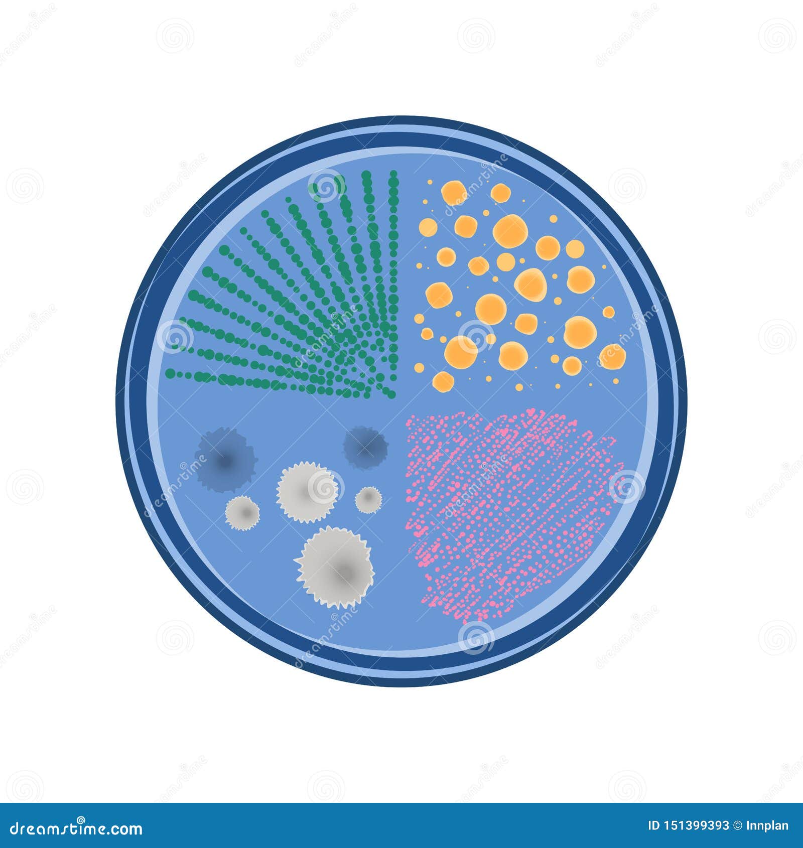 petri dish bacteria growth