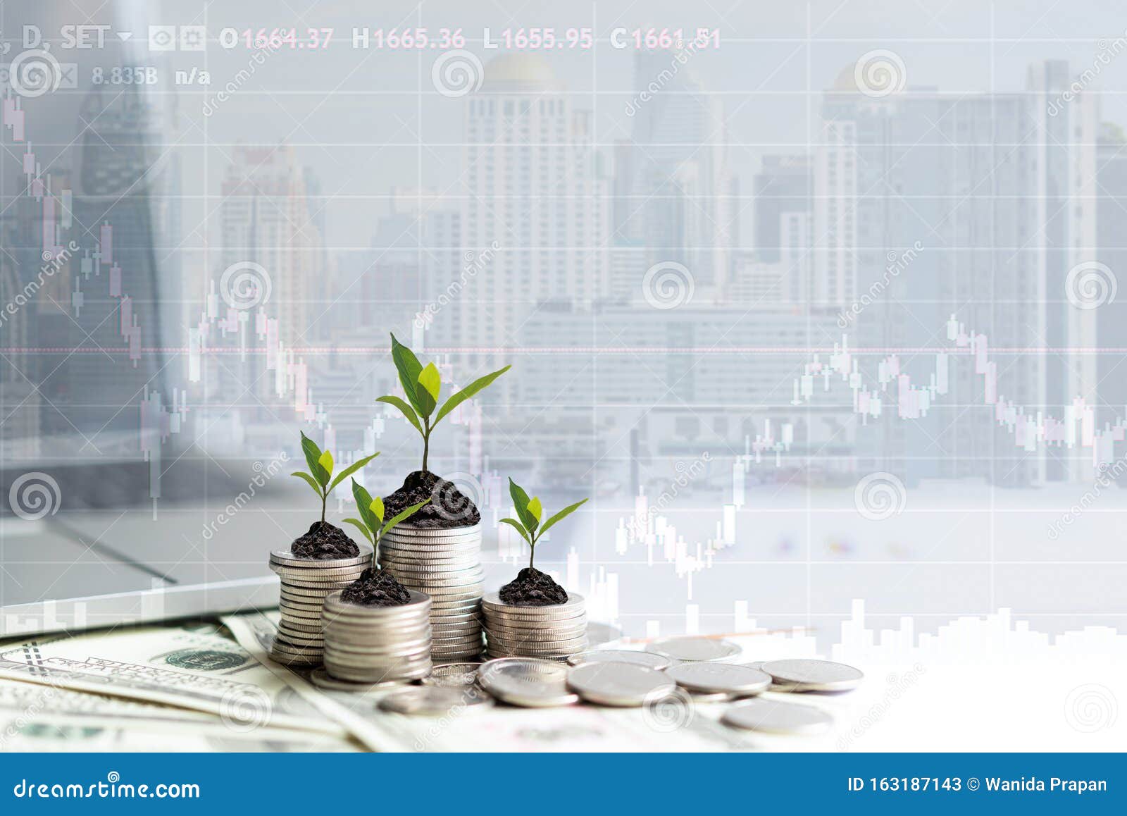 growth plants economic on stack of coins on paper analyze performance financial graph funding with calculate for investment busine