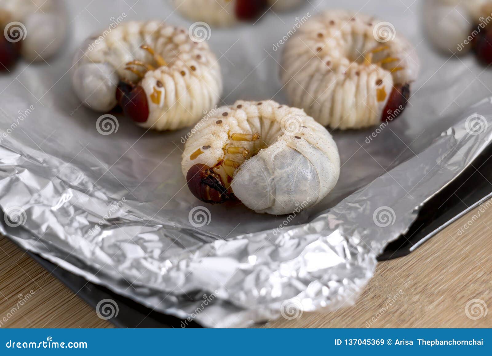 Grub Worms or Coconut Rhinoceros Beetle Oryctes Rhinoceros. Insects Food  for Eating Larvae Fried or Baked on Baking Tray is Goo Stock Image - Image  of coleoptera, future: 137045369