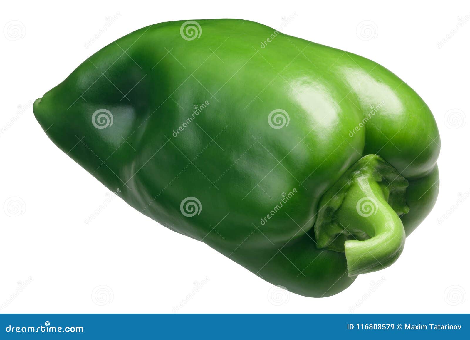 grueso de plaza green bell pepper