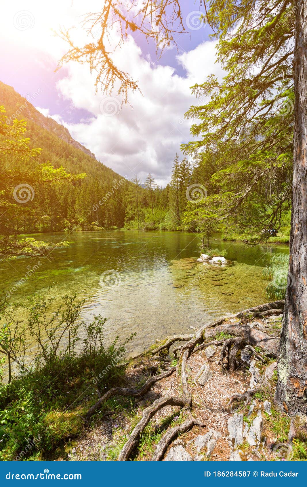 Gruner See Beautiful Green Lake With Crystal Clear Water Stock Image