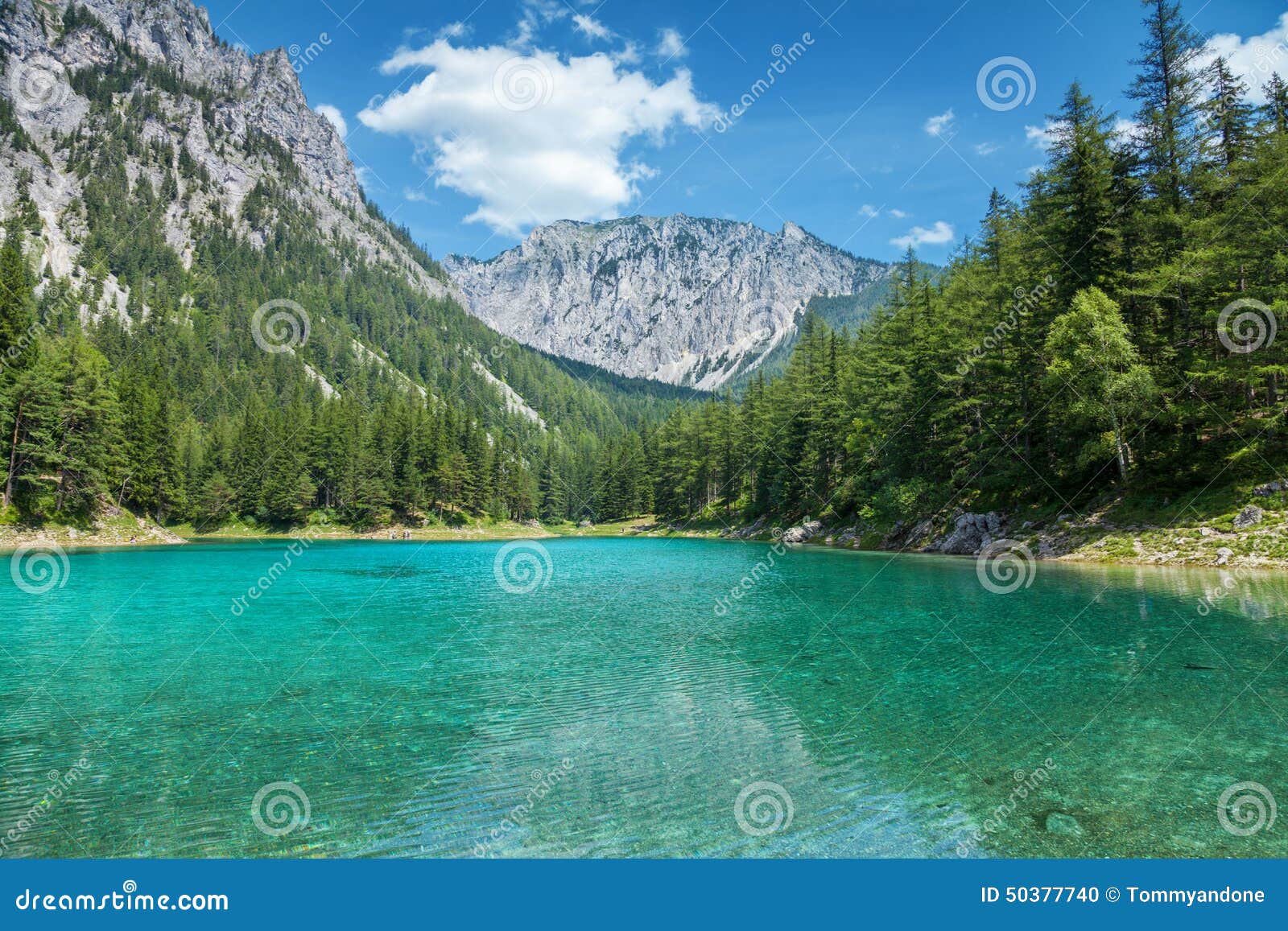 Gruner See With Crystal Clear Water In Austria Stock Photo Image