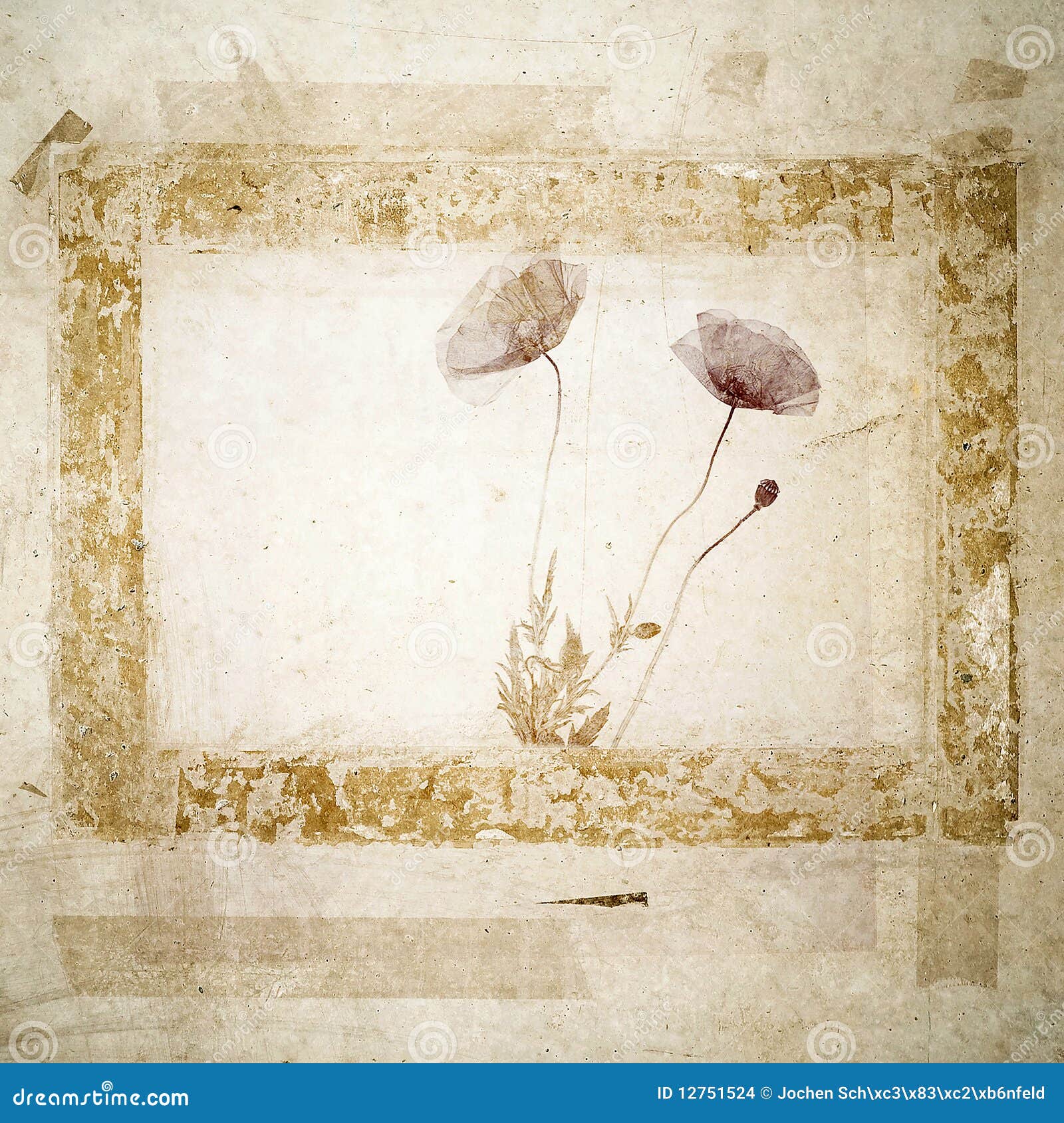 grunge background with poppy blossoms