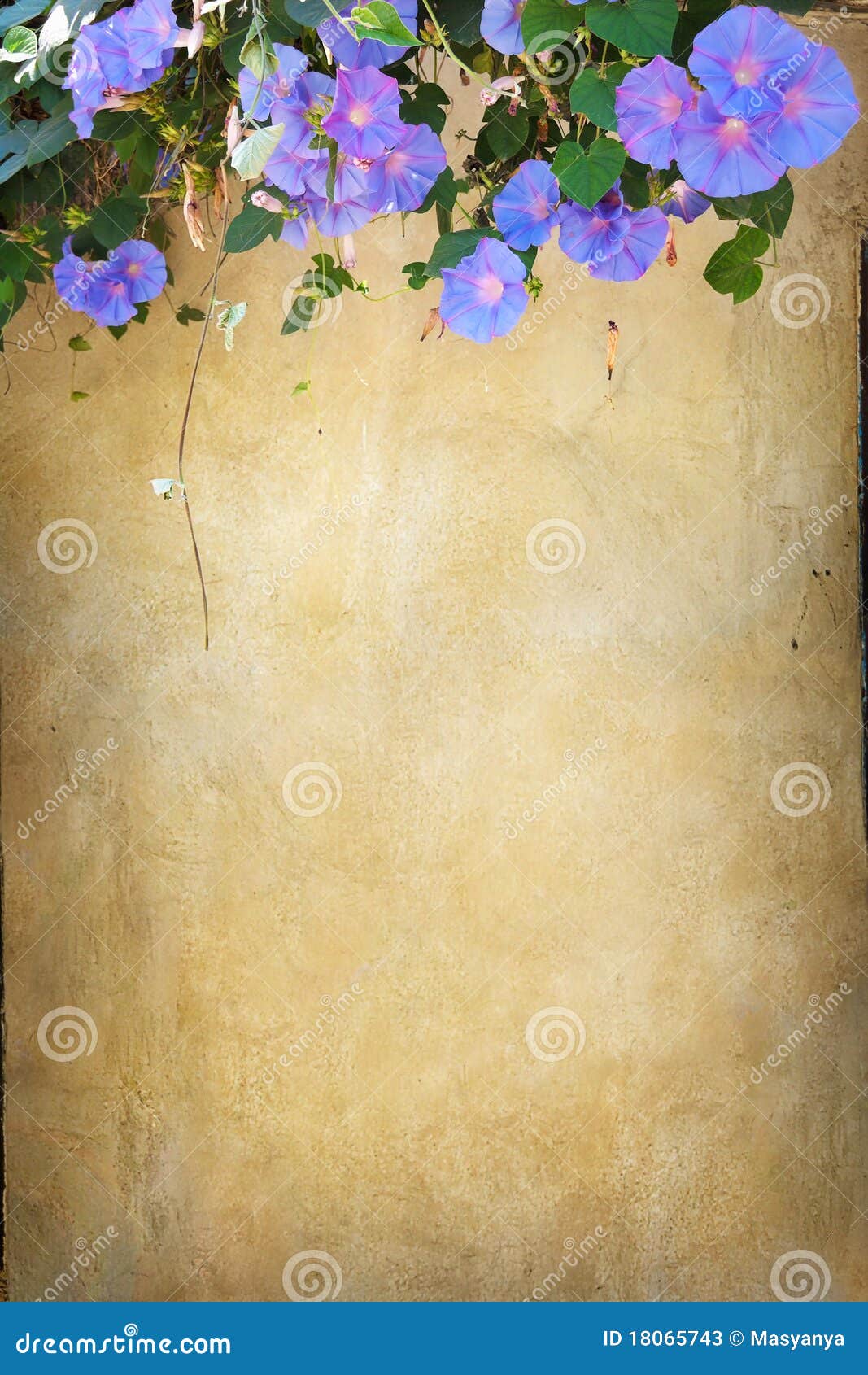 grunge bindweed background