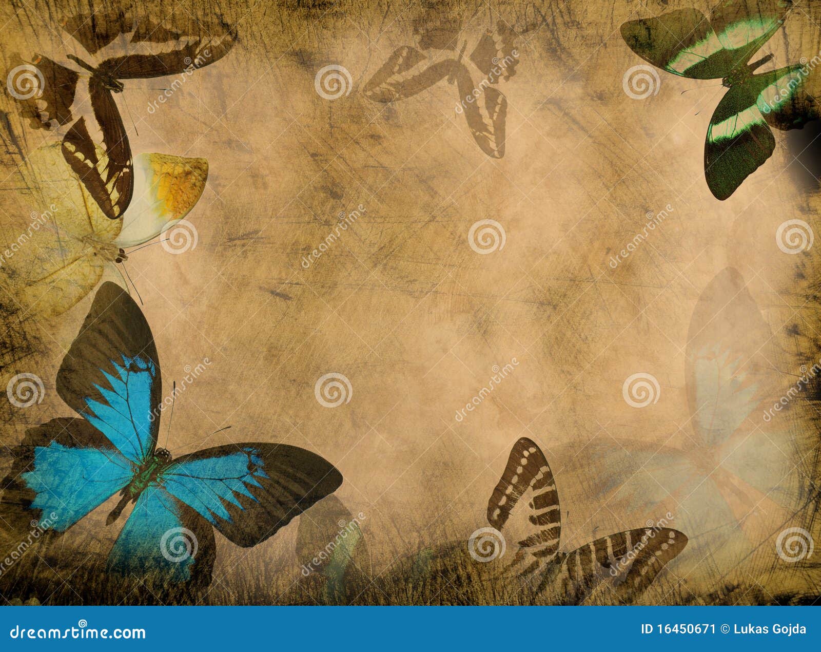 Grunge Butterfly Background Stock Image Image of burning, grunge