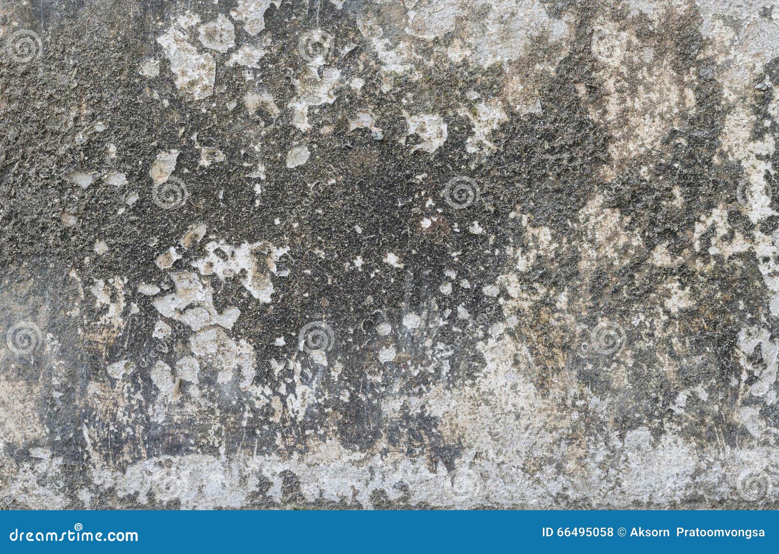 Grunge wall stock photo. Image of crack, blank, page 66495058