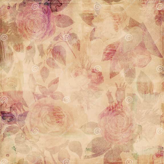 Grungy Botanical Vintage Roses Shabby Background Stock Illustration ...