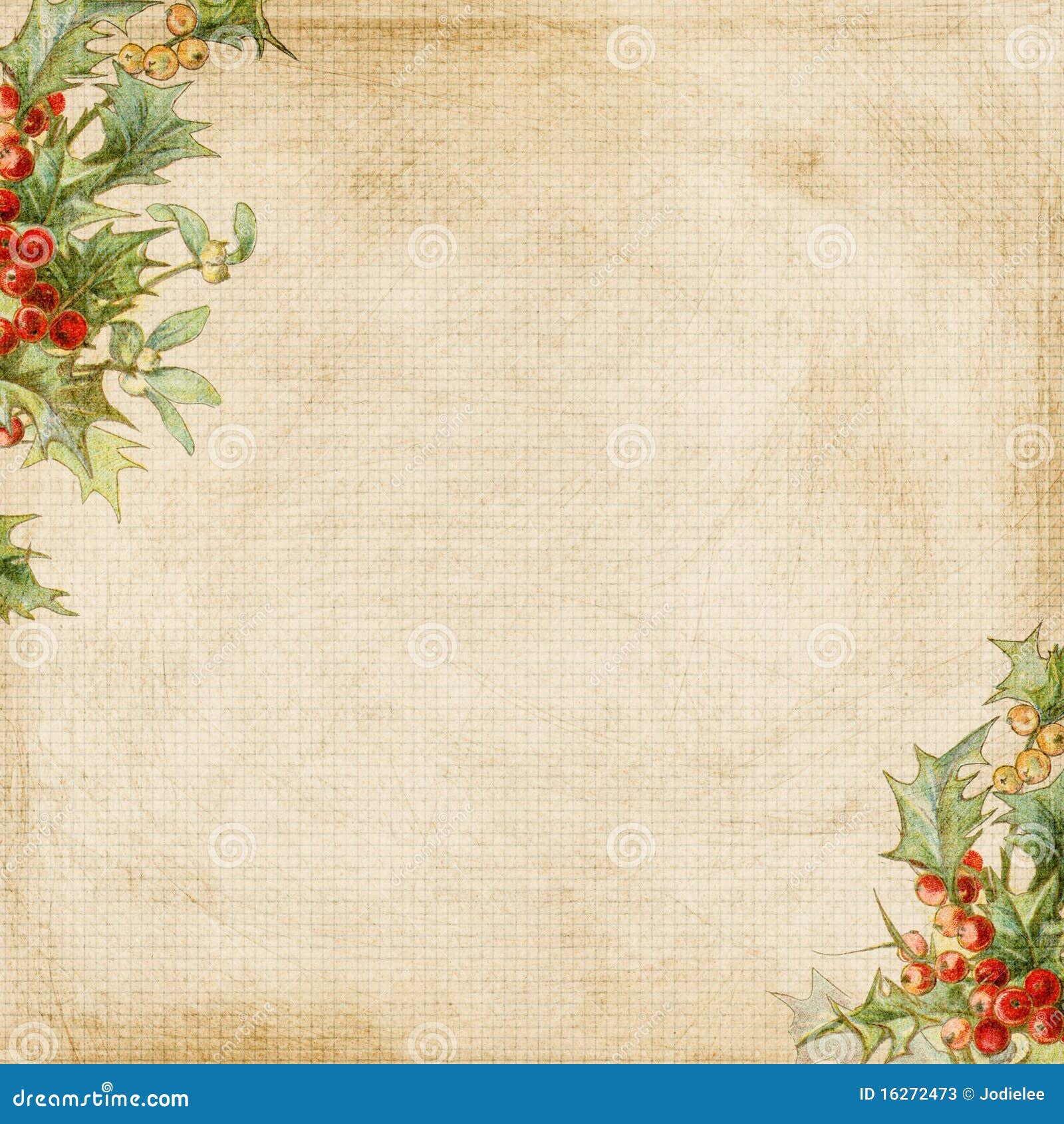 grungy christmas holly frame background