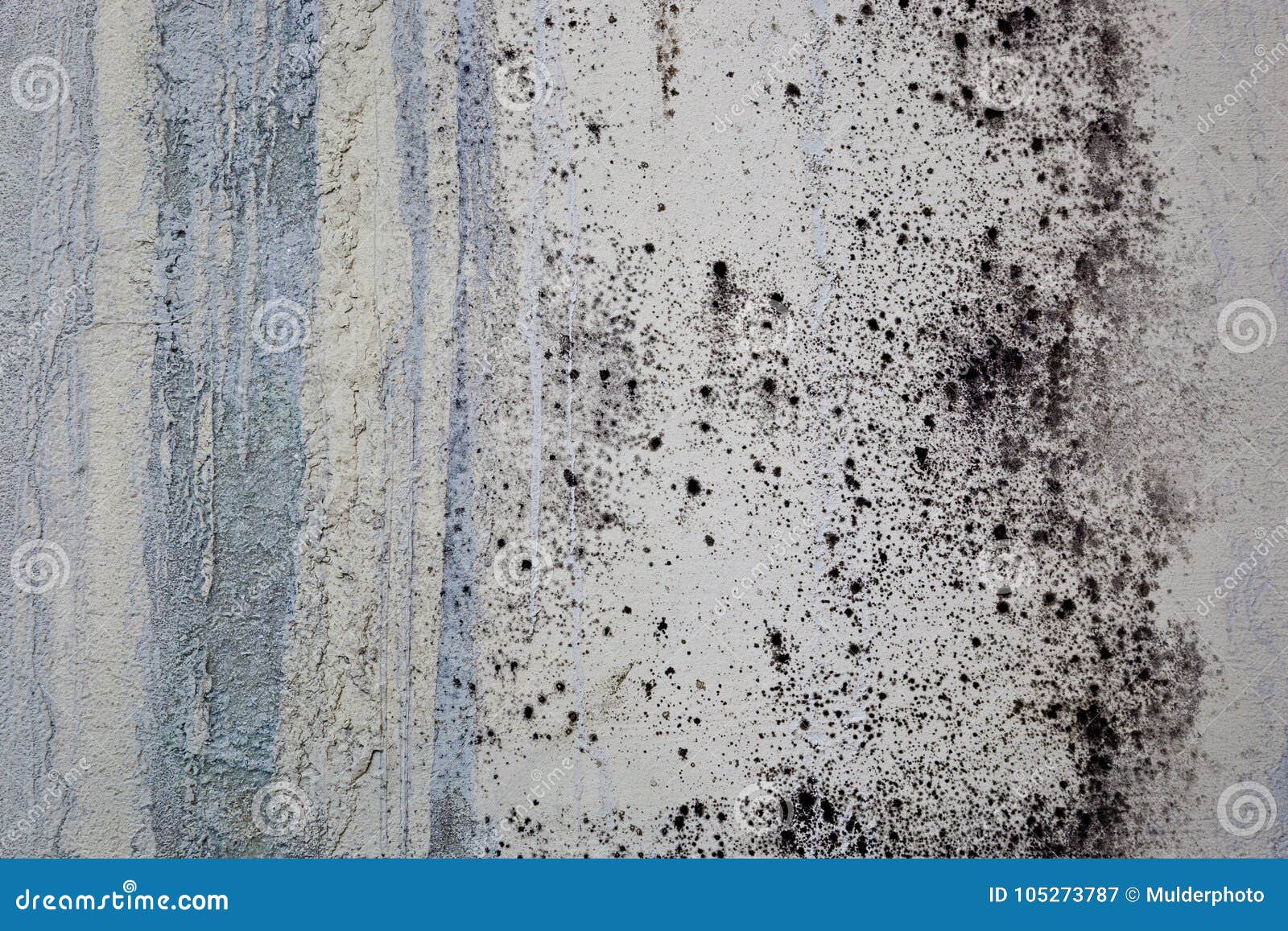 Grungy Dirty Wall Texture. Damaged Plaster with Water Stains on the