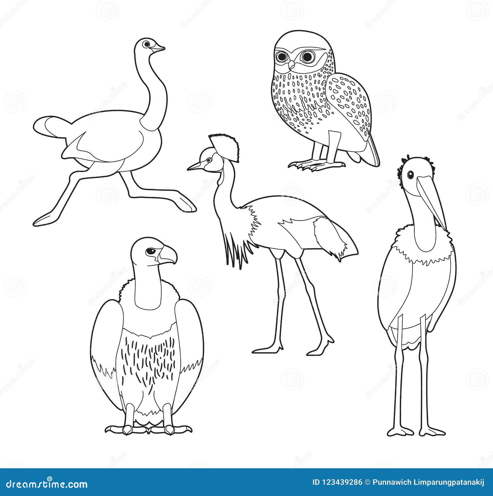 Desenhos para colorir de desenho de um passarinho fofo para