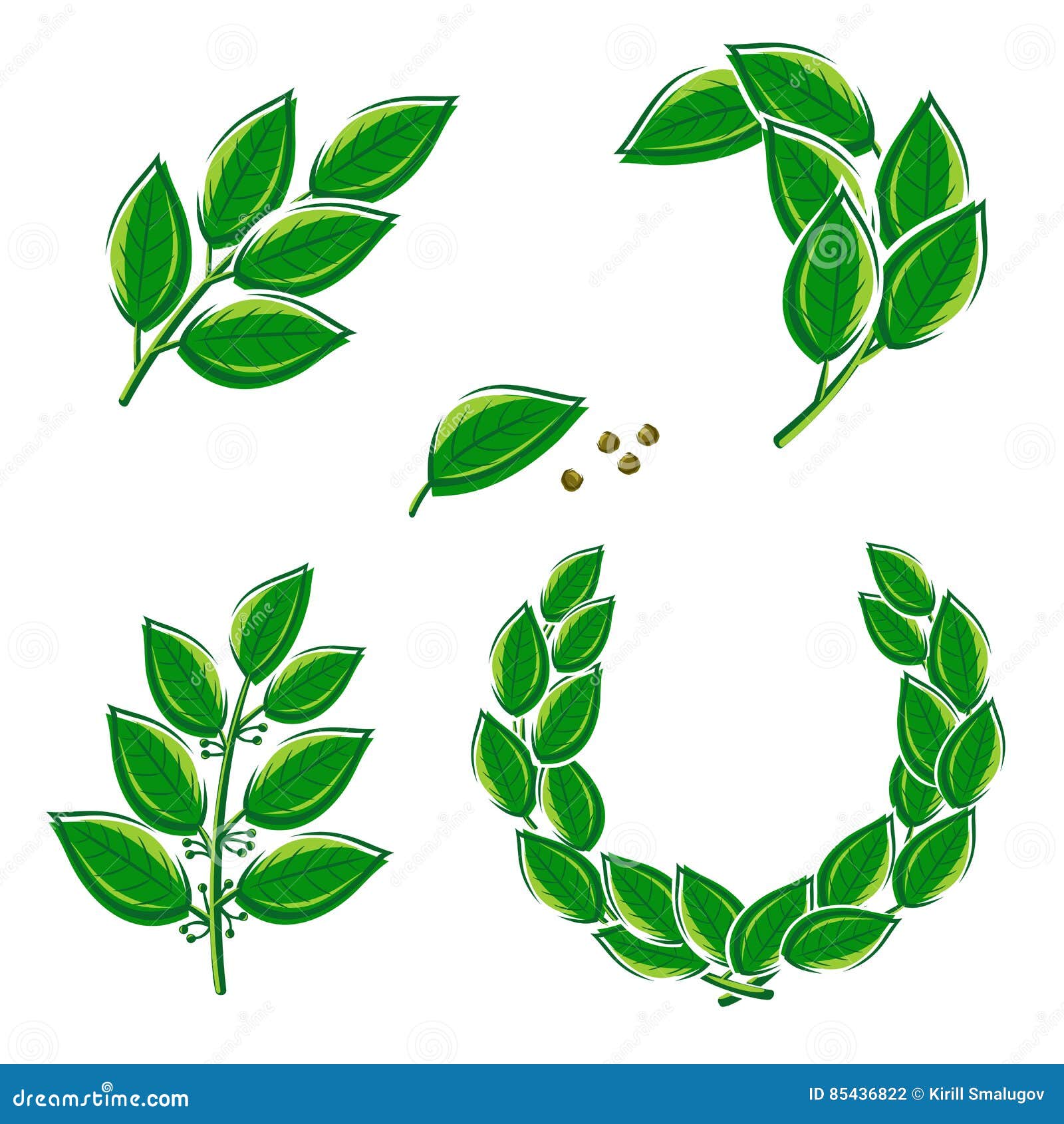 Featured image of post Folha De Louro Vetor / Folhas de louro secas são comumente usados, pois eles têm forte aroma e sabor.