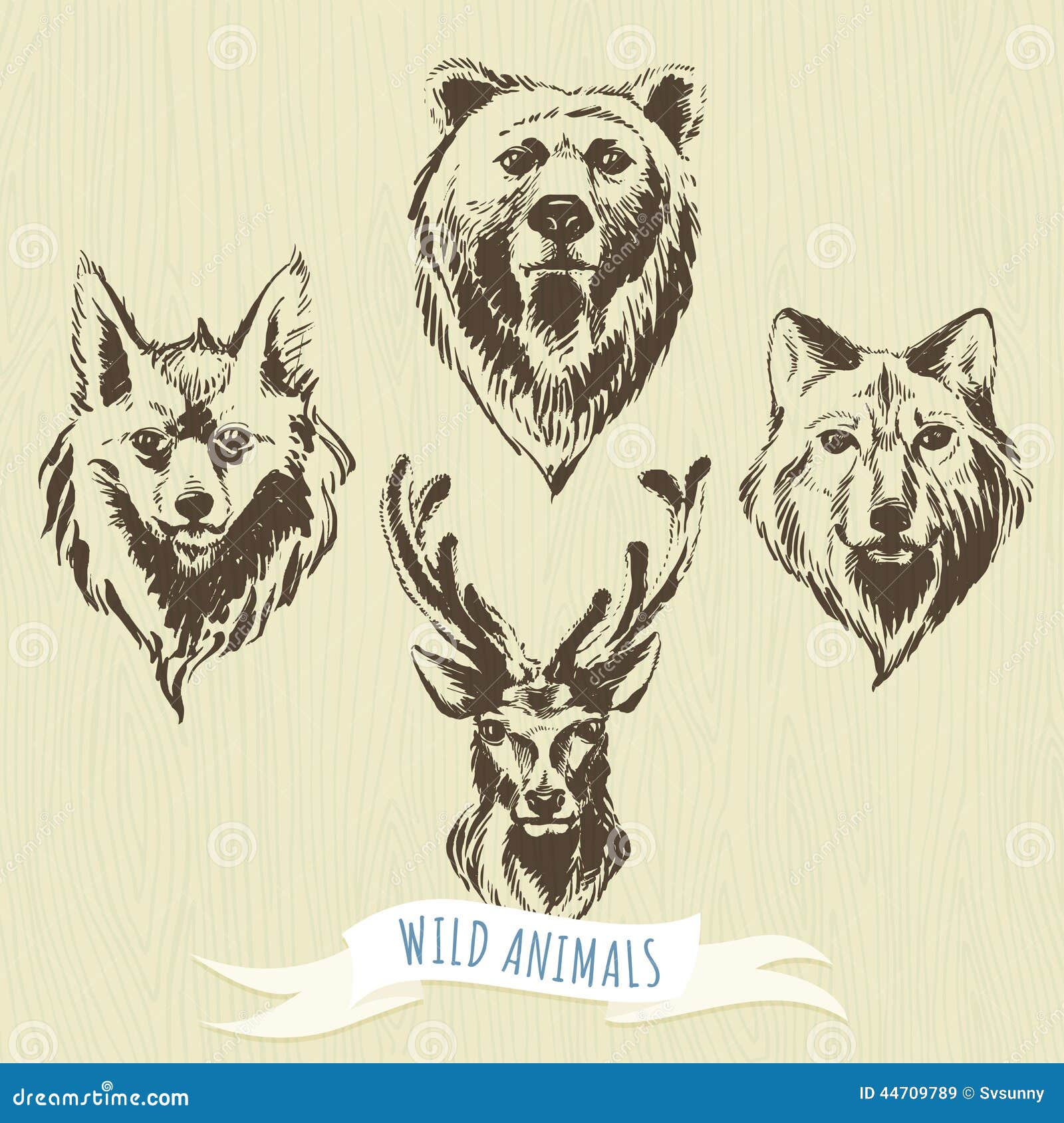 Raposas para colorir!  Moose art, Drawing & painting, Animals
