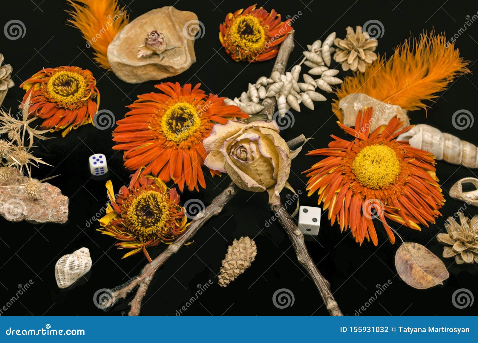 Grupo De Rosales Secas, Rama Seca Con Flores Naranjas Secas Gerberas,  Conchas, Pequeñas Piedras Con Plumas Naranjas Y Conos Sobre Foto de archivo  - Imagen de brillante, fondo: 155931032