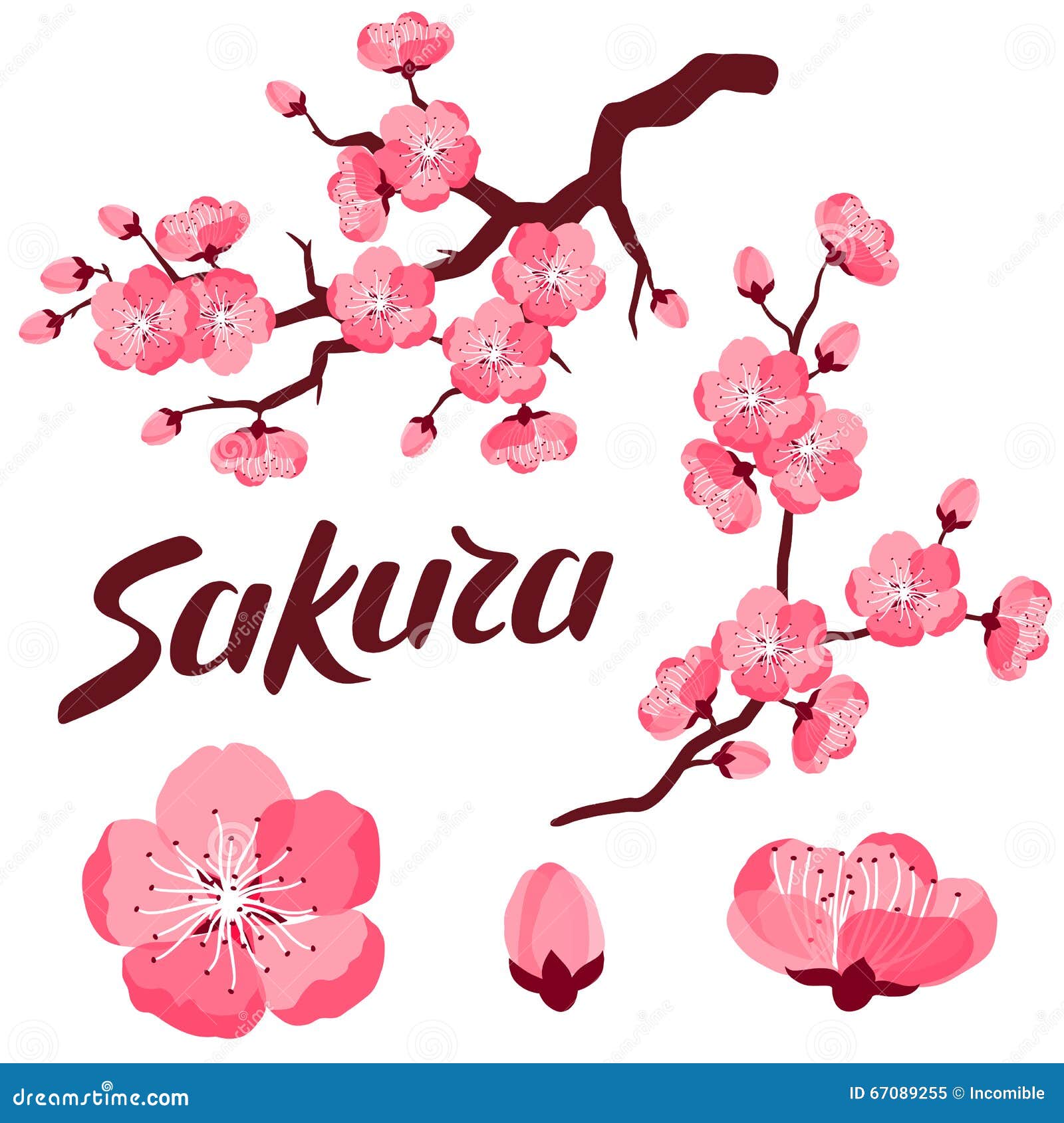 Projeto Sakura