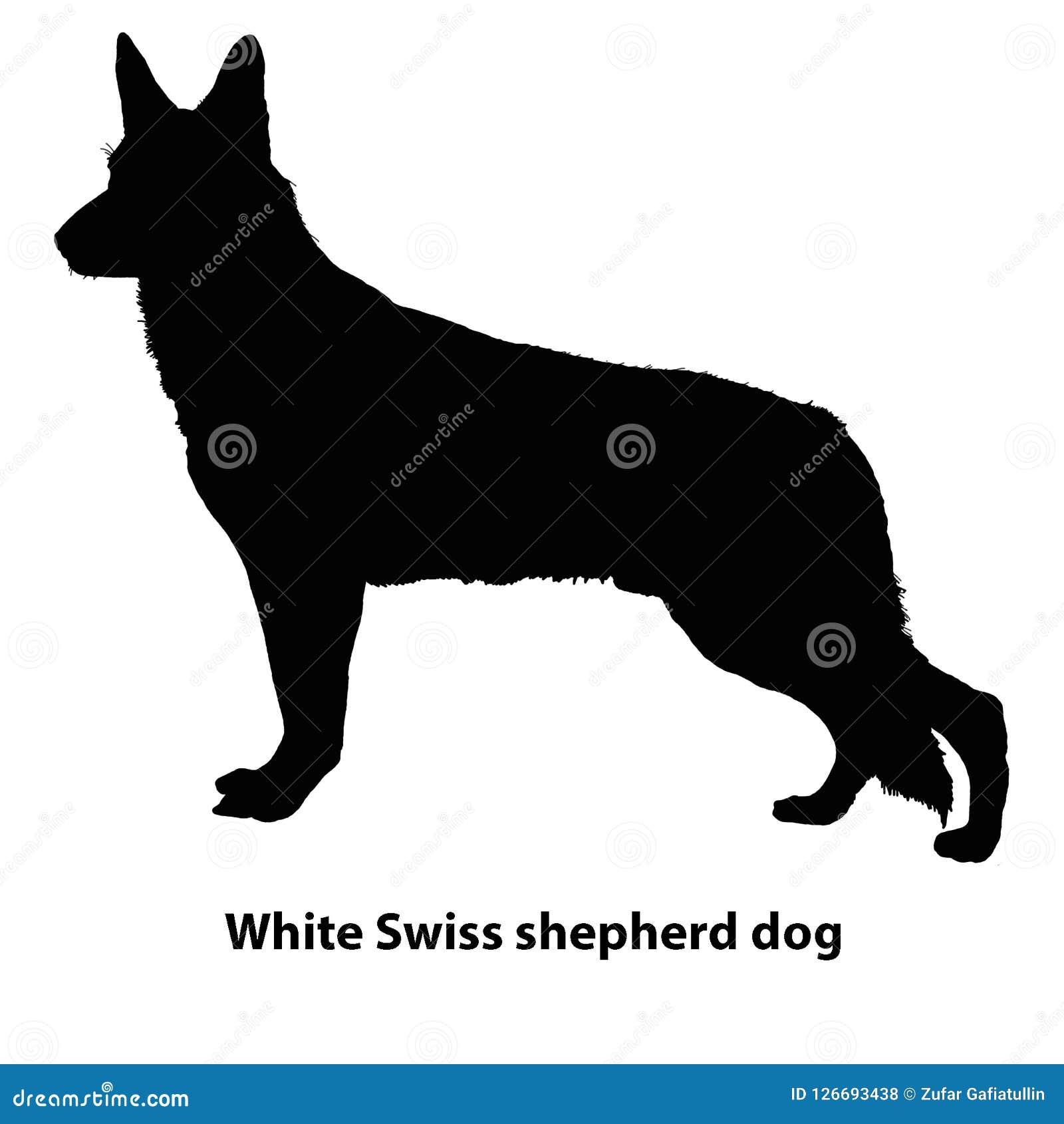 Grupo Suíço Branco Do Vetor Do Cão-pastor De Silhuetas Ilustração