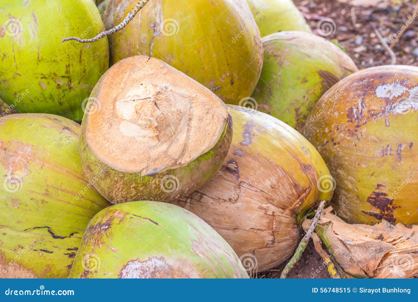 Grupp av gröna kokosnötter. Grupp av asiatiska gröna kokosnötter