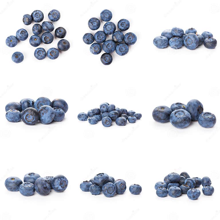 Gruppe Frische Blaubeeren Isoliert Auf Weißem Hintergrund . in All Dem