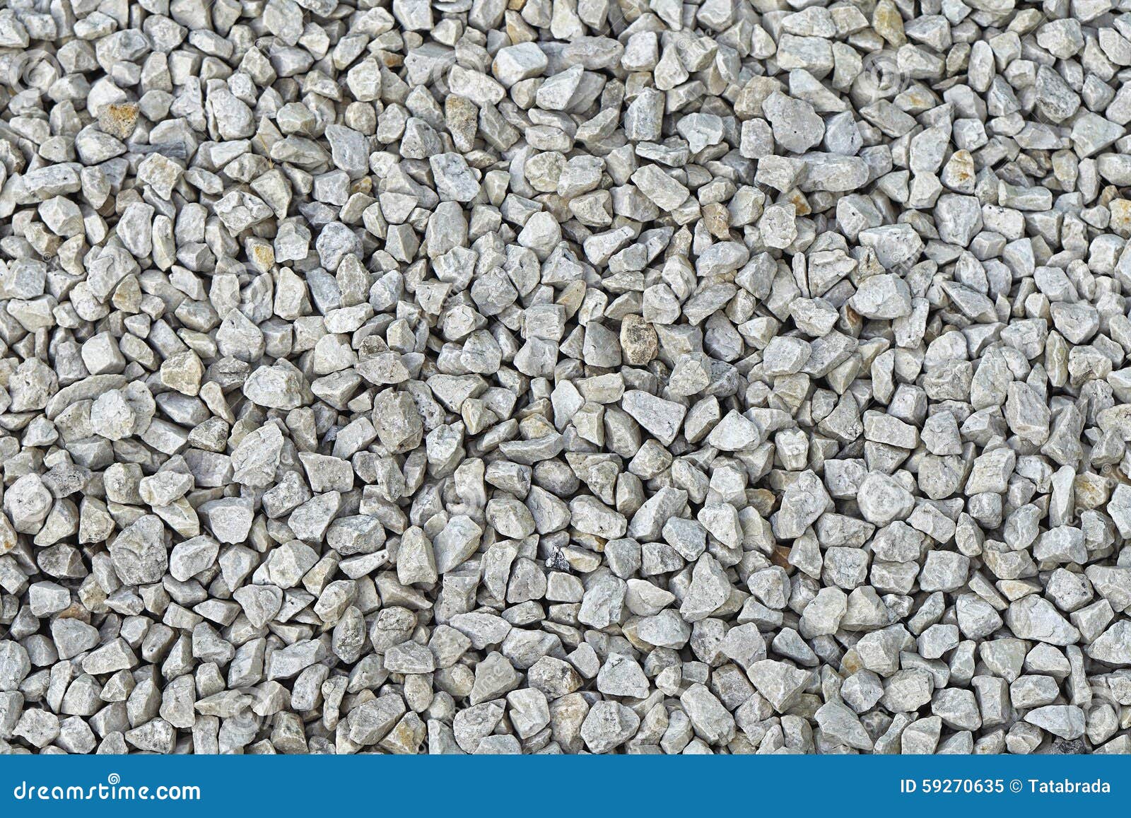 Grus fotografering för bildbyråer. Bild av bakgrund, natur - 59270635