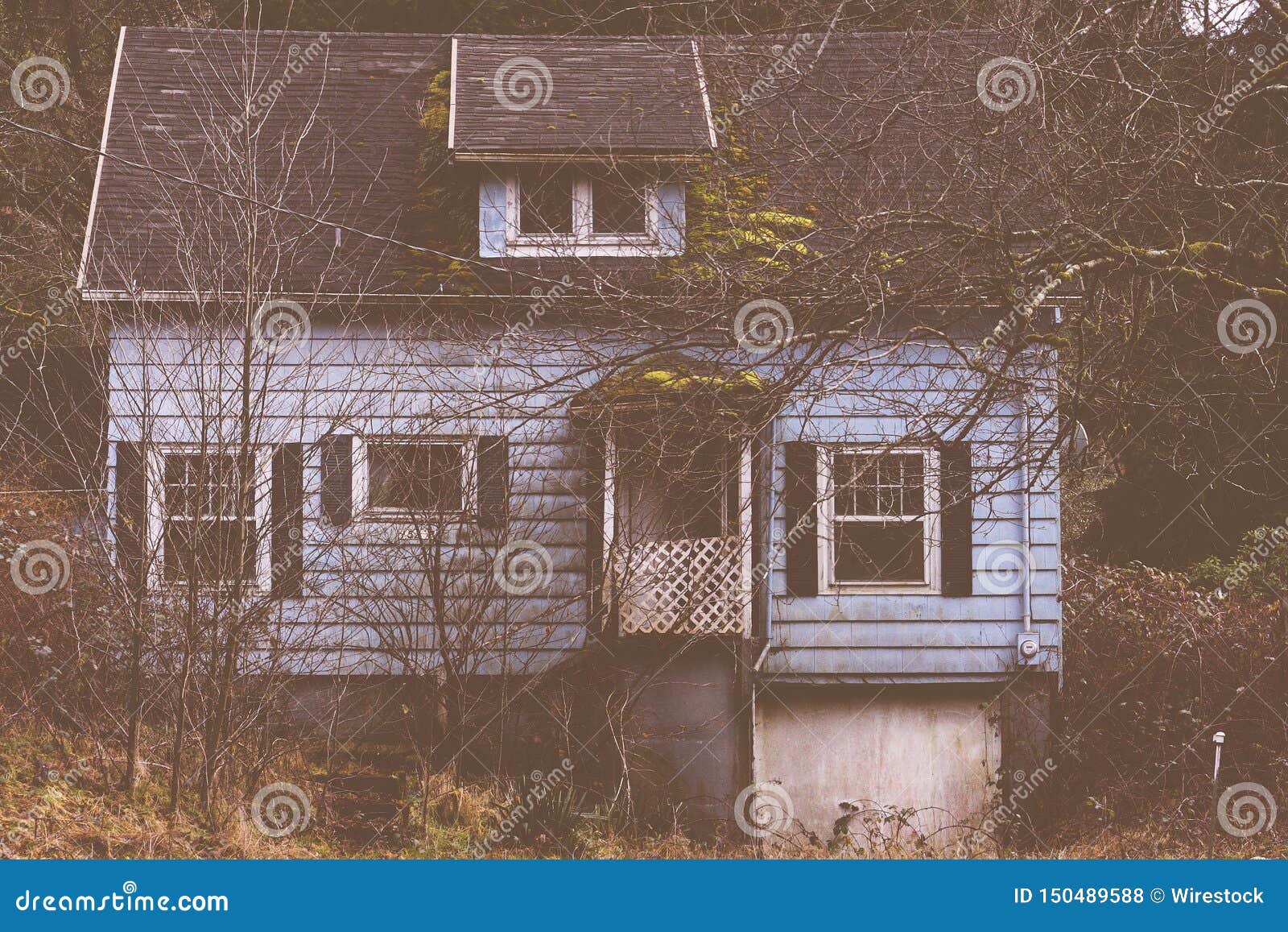 Gruseliges Altes Haus Im Wald Stockfoto Bild Von Landschaft Kabine 150489588