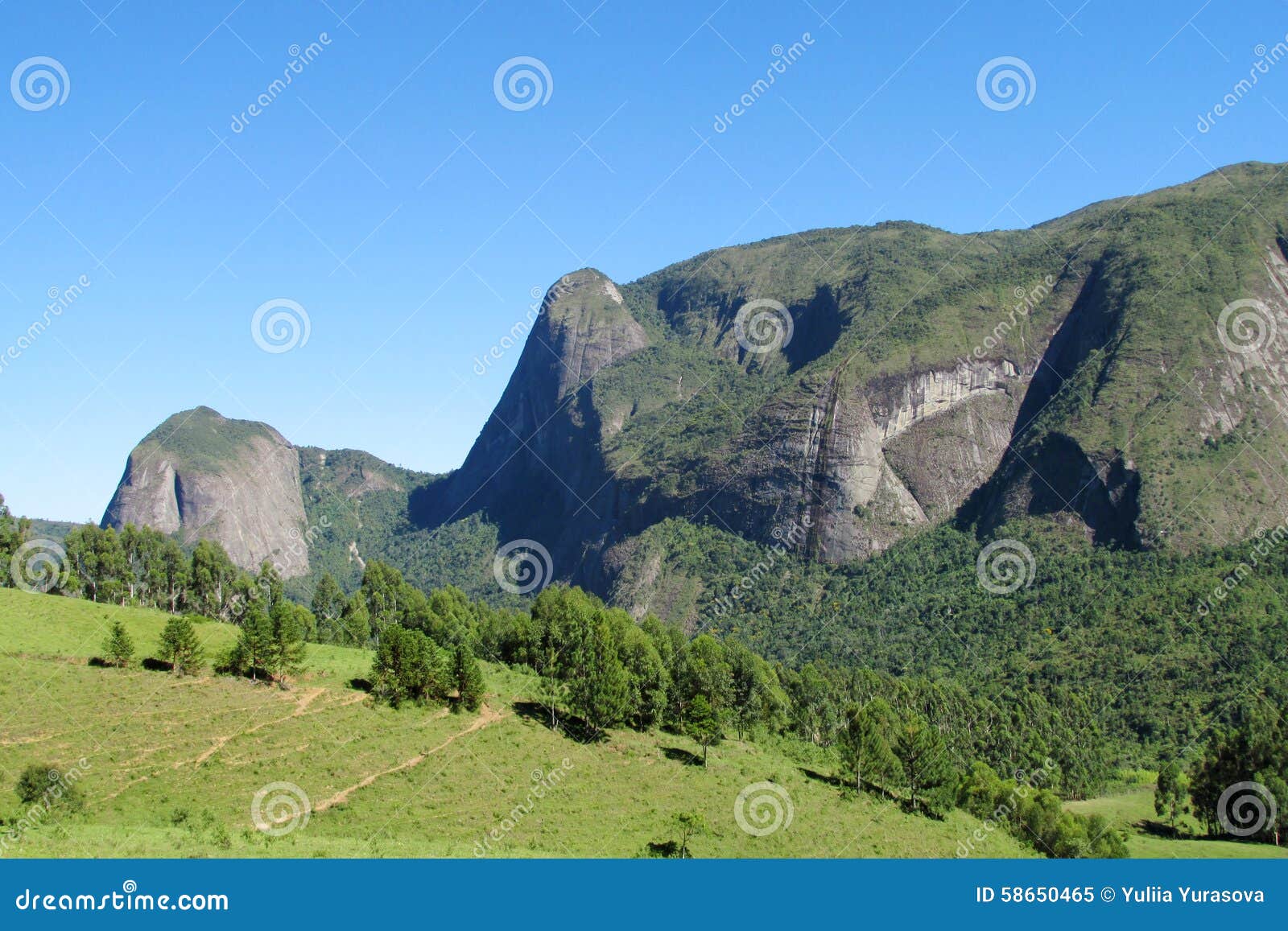 Grünes Tal Nationalparks Tres Picos Stockbild Bild von januar