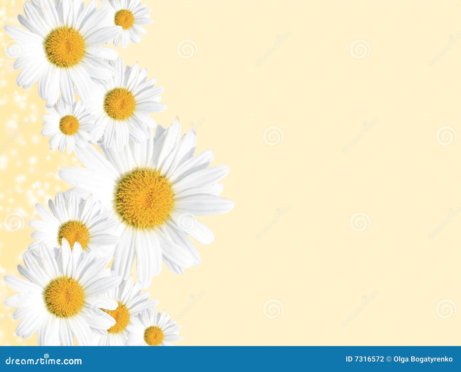 Sonnenblumenfeld Türbanner 183x80cm - Wetterfest Für Frühling & Sommer