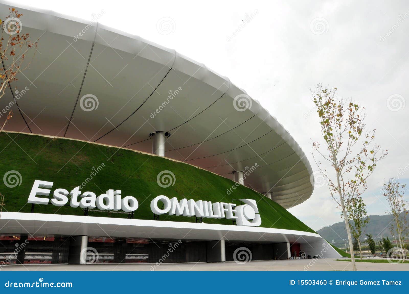 Guadalajara Stadium editorial image. Image of futbol 15503460