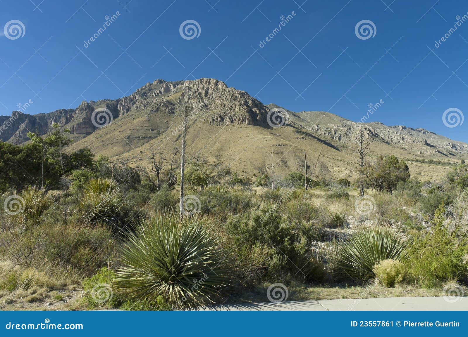 Guadalupe Mountains Formation Stock Image Image of peak, formation