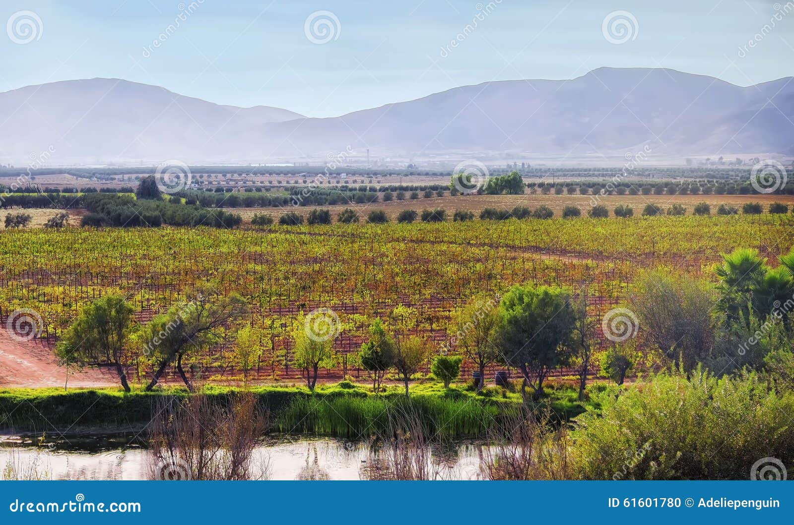 guadalupe valley, wine country, baja, mexico