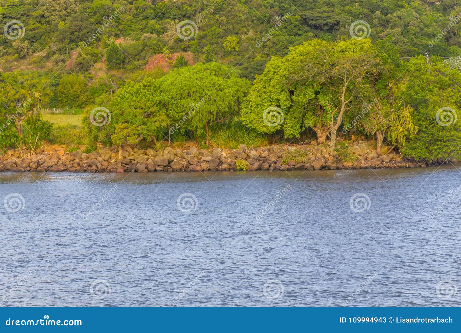 guaiba lake with rocks and trees
