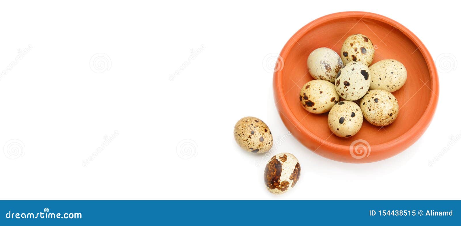 guail eggs  on white background. free space for text. wide photo