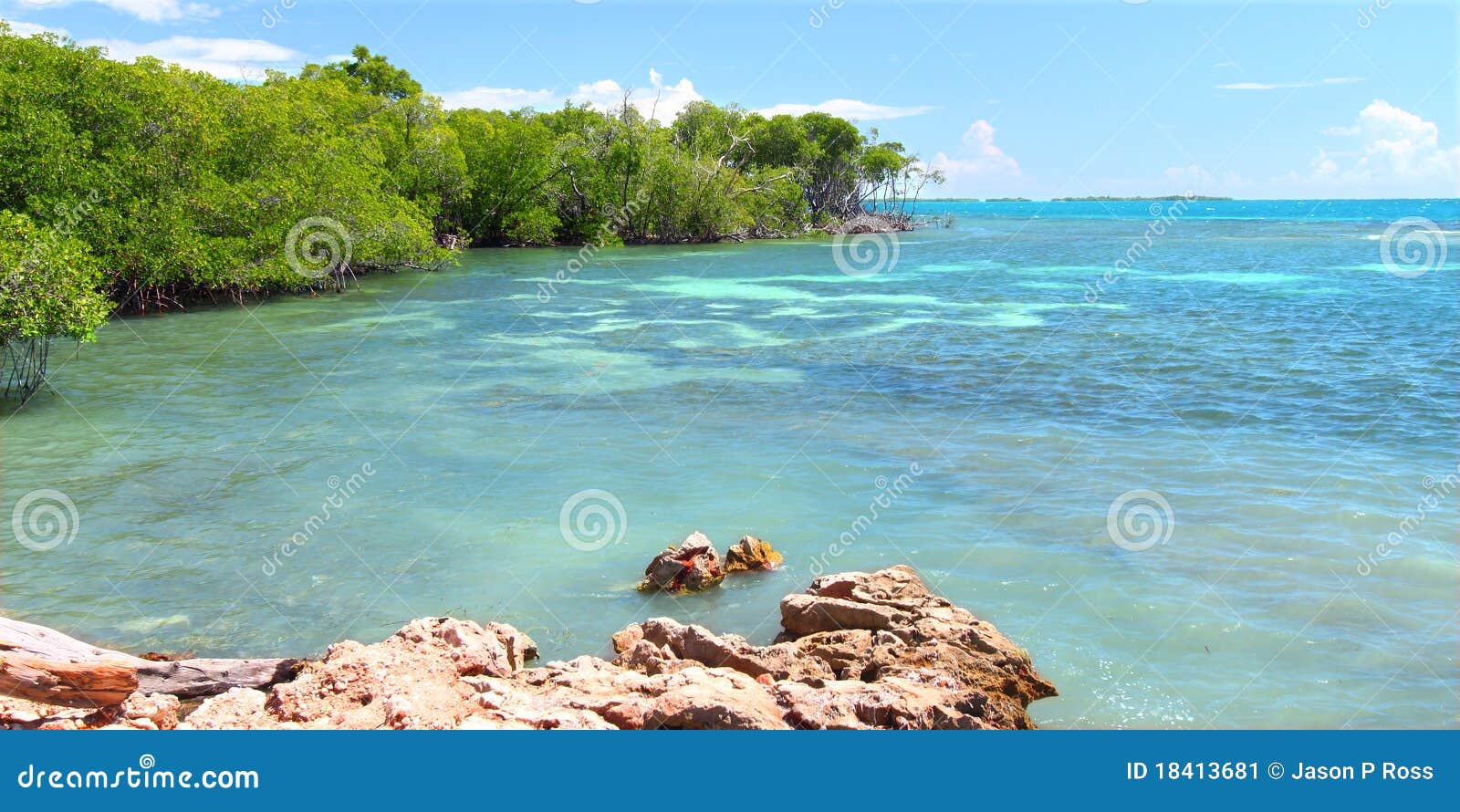 Guanica Reserve Puerto Rico Stock Image Image of ecotourism, forest