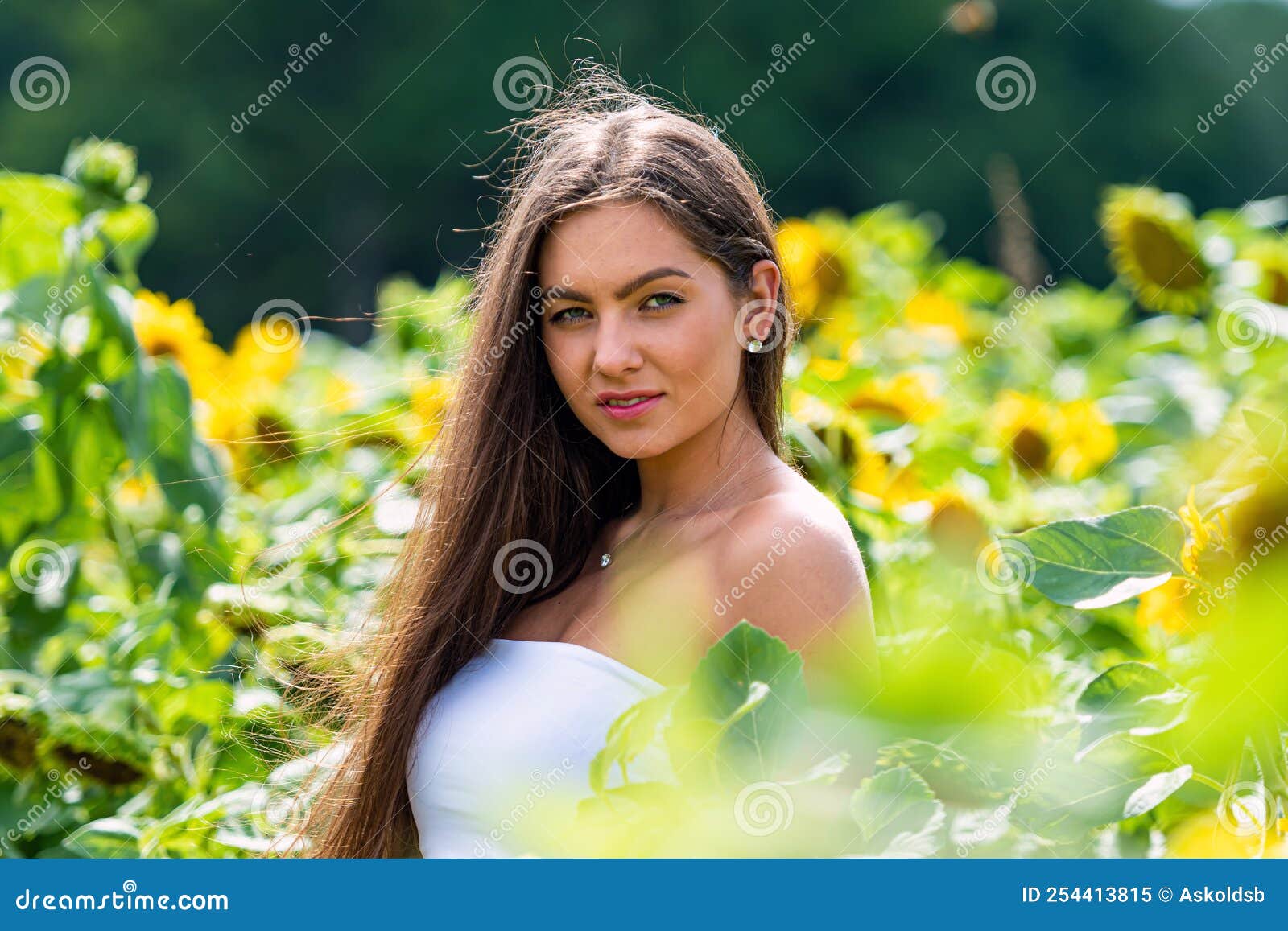 Guapa Morena Sensual Joven En Un Campo De Girasoles En Una Mujer Feliz De  Suéter Rojo Al Aire Libre Imagen de archivo - Imagen de exterior, verde:  254413815