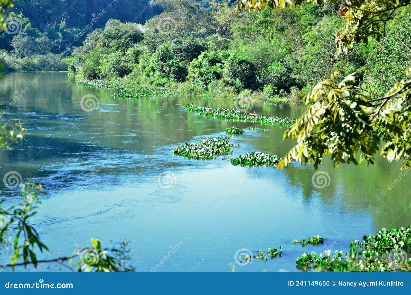 The Water of the Paraiba River in the South of Guararema Stock Photo ...