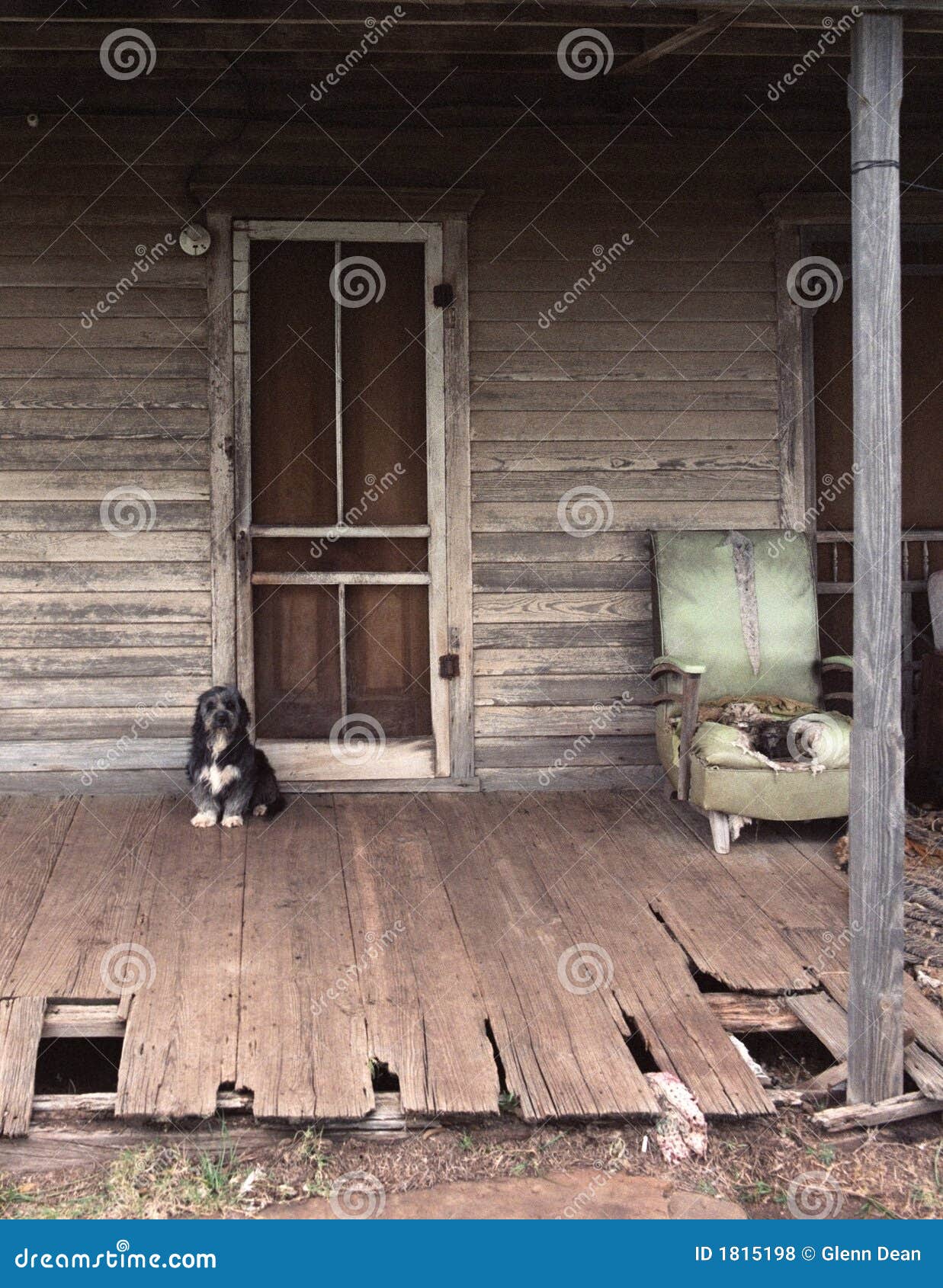Guard Dog on Watch stock photo. Image of home, greets 1815198