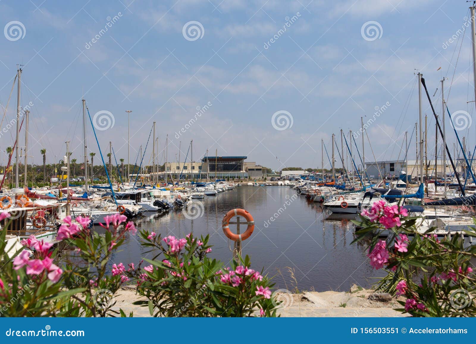 guardamar del segura marina de las dunas with boats and yachts and pink flowers spain