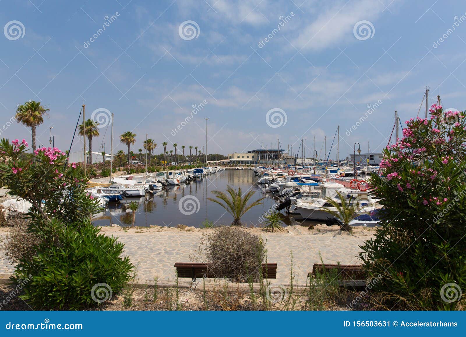 guardamar del segura marina dunas with boats and yachts and pink flowers spain