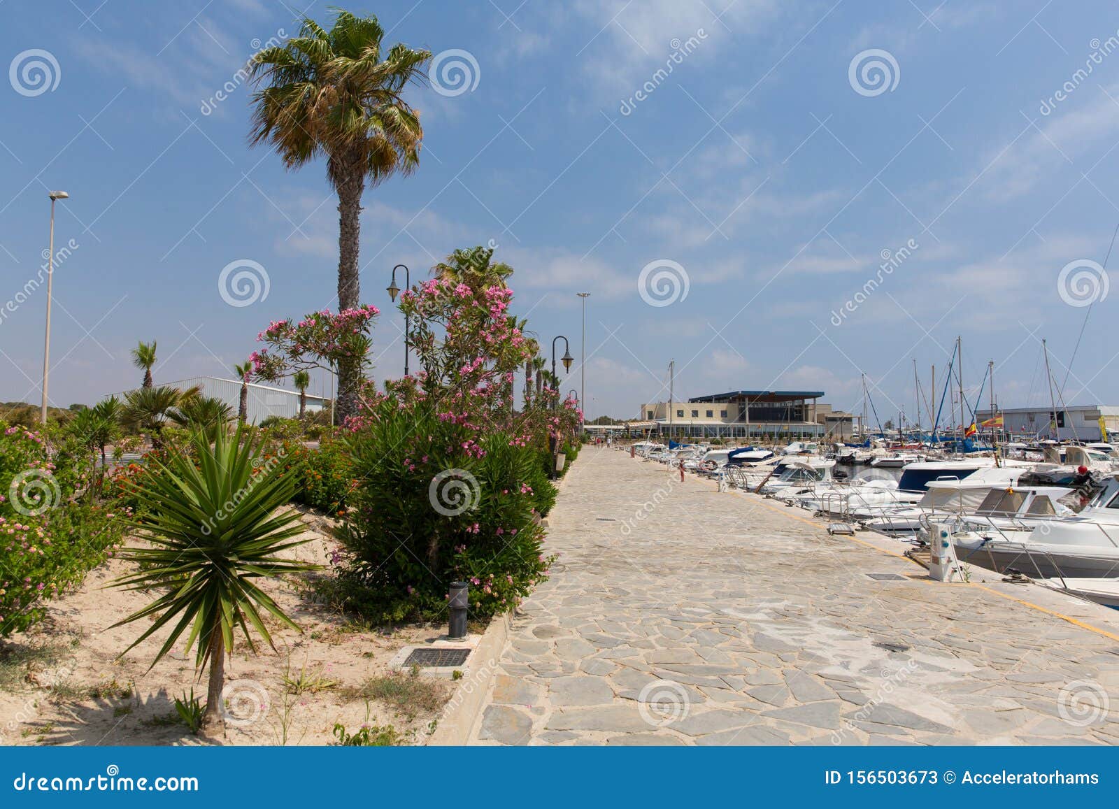 guardamar marina de las dunas with boats and palm trees spain