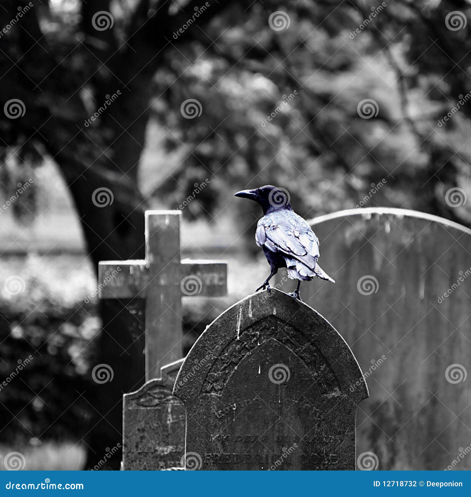 The Guardian stock photo. Image of tombstone, gravestone - 12718732
