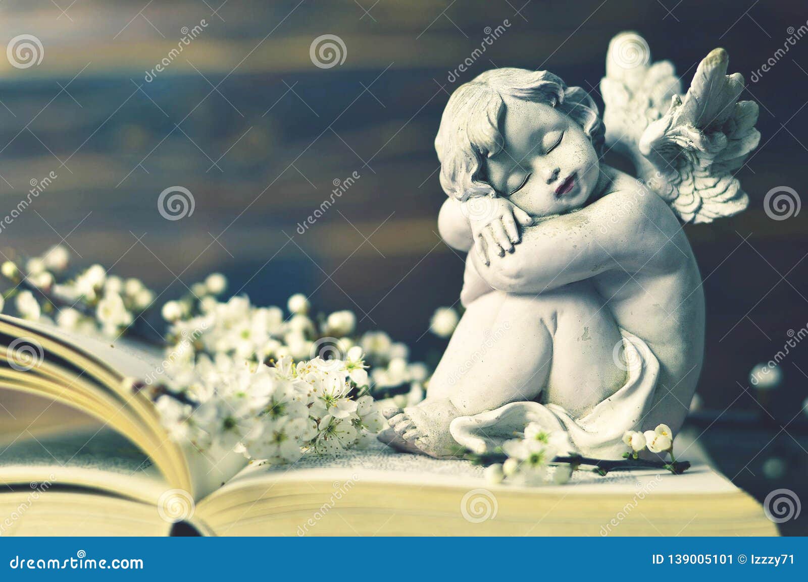 Guardian Angel and Spring Flowers on the Book Stock Image Image of