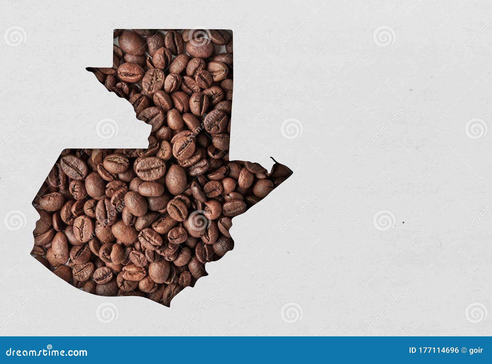 Guatemala coffee beans stock photo. Image of food, cafeteria 177114696